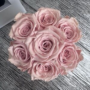 The Million Roses: Light Pink Roses (Mirror Box)